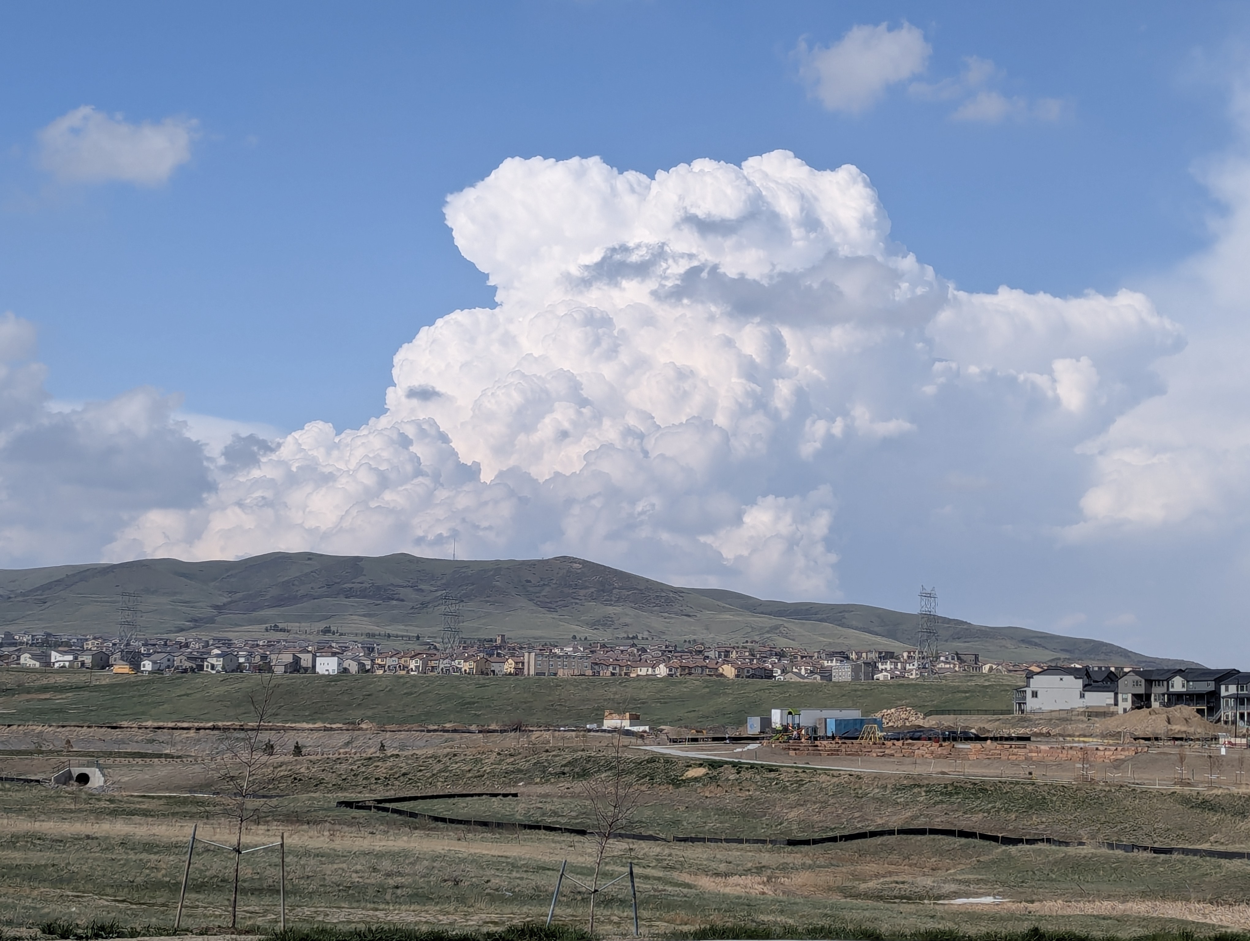 Garden, Flowers, Morrison, Colorado